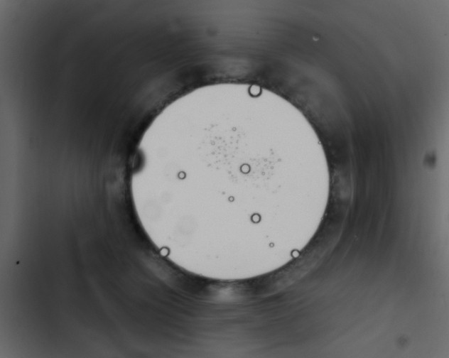 X0000103900564200809191058