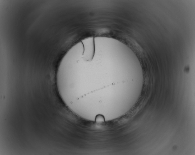 X0000103900565200809191058