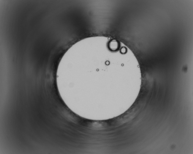 X0000103900566200809191058