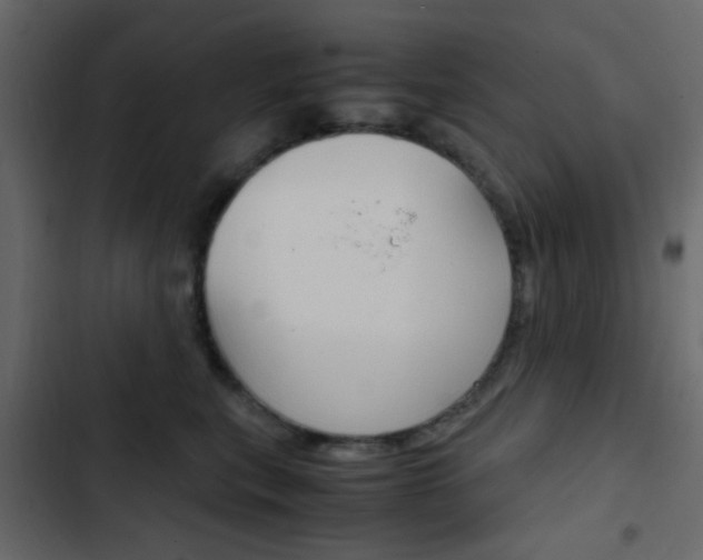 X0000103900567200809191058