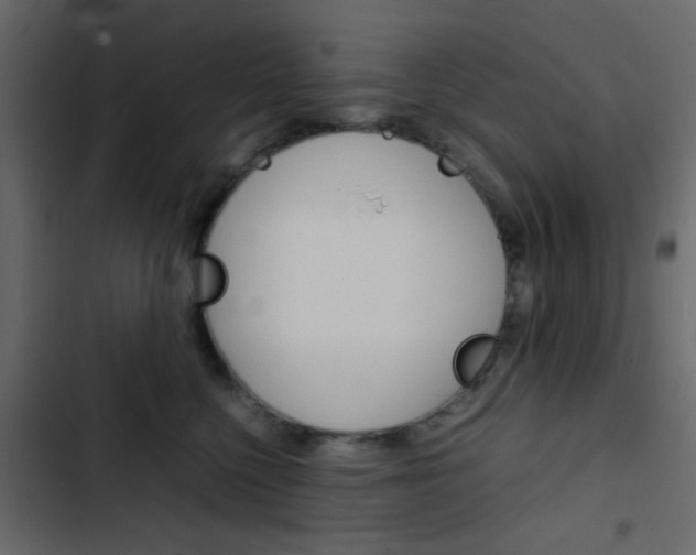 X0000103900568200809191058