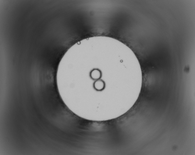 X0000103900570200809191058