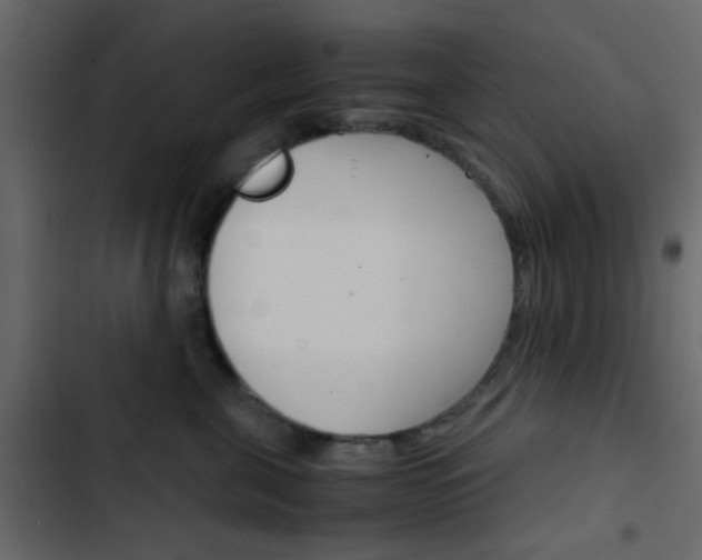 X0000103900571200809191058