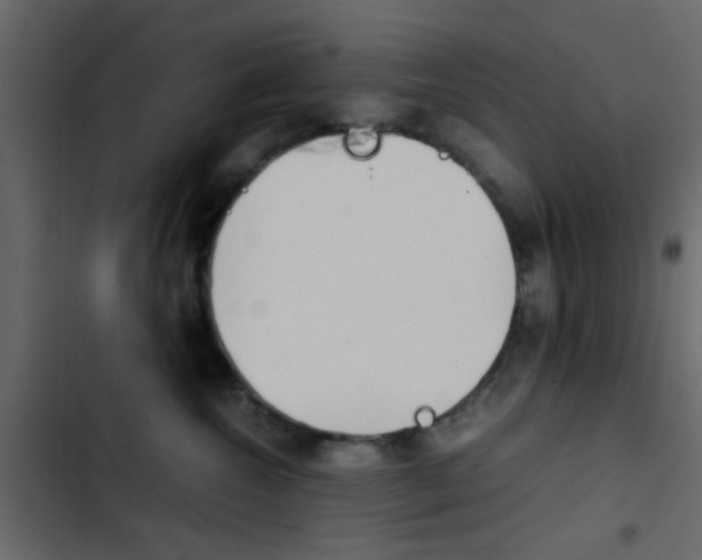 X0000103900572200809191058