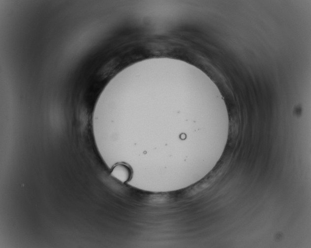 X0000103900574200809191058