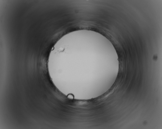 X0000103900575200809191058