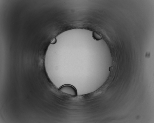 X0000103900576200809191058