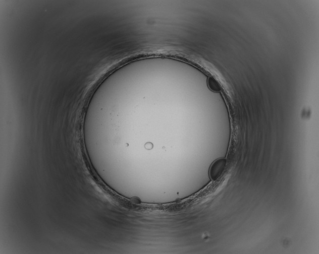 X0000103900577200809191057