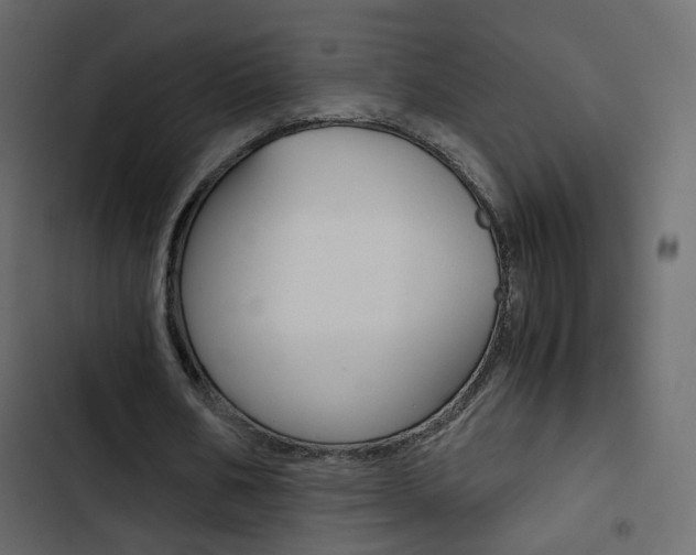 X0000103900578200809191057