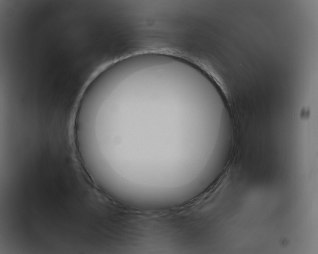 X0000103900579200809191057