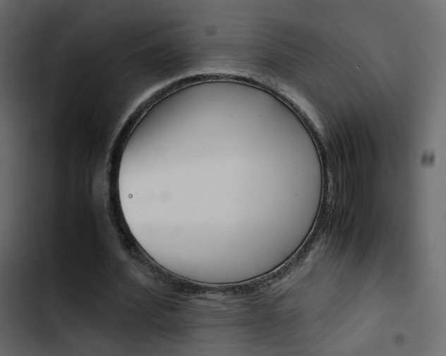 X0000103900580200809191057