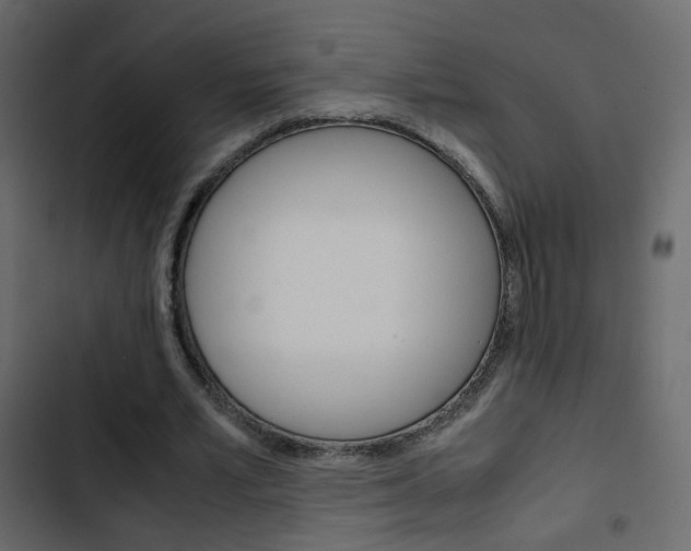 X0000103900581200809191057