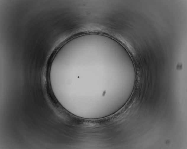 X0000103900582200809191057