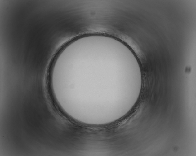 X0000103900583200809191057