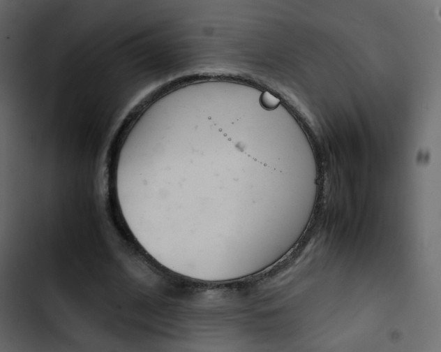 X0000103900584200809191057