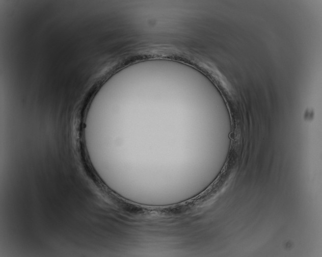 X0000103900585200809191057