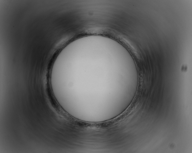 X0000103900586200809191057