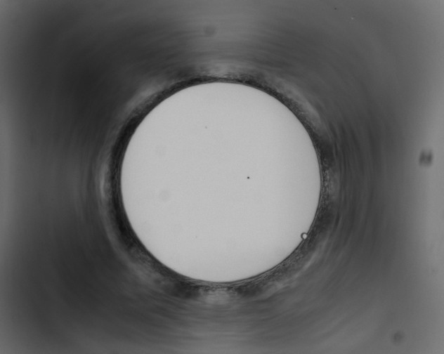X0000103900587200809191057