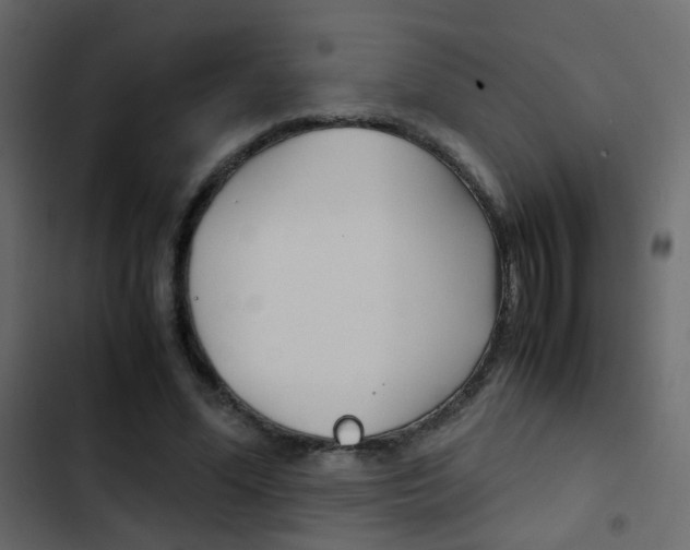 X0000103900588200809191057