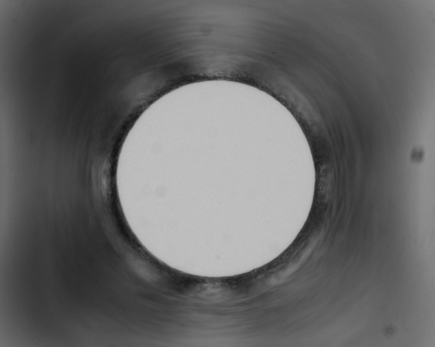 X0000103900589200809191057