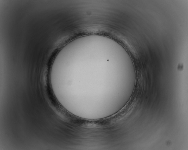 X0000103900590200809191057