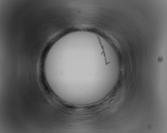 X0000103900591200809191057