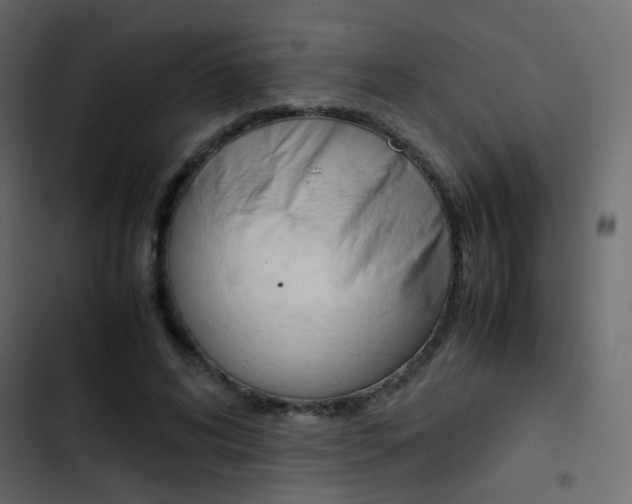 X0000103900592200809191057