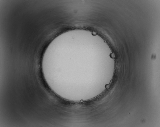 X0000103900593200809191057