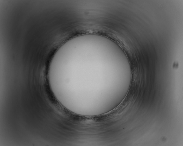 X0000103900594200809191057