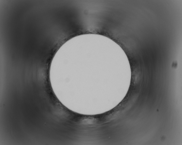 X0000103900595200809191057