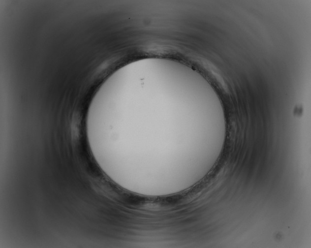 X0000103900596200809191057