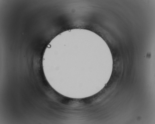 X0000103900597200809191057