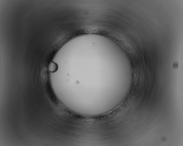 X0000103900598200809191057