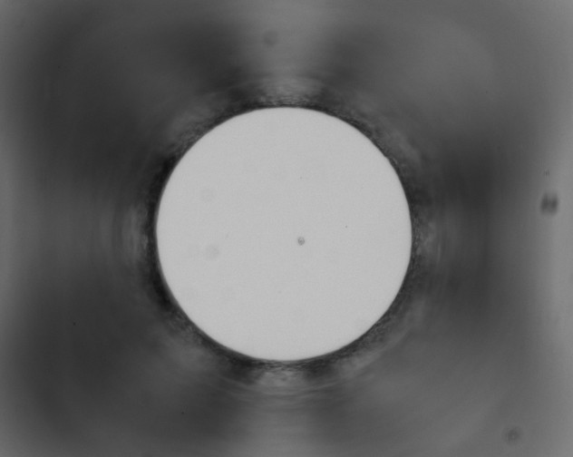 X0000103900599200809191057