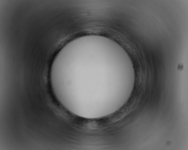 X0000103900600200809191057