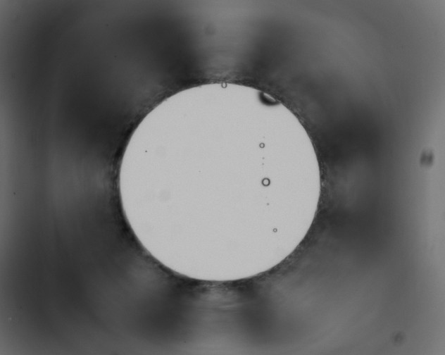 X0000103900601200809191057