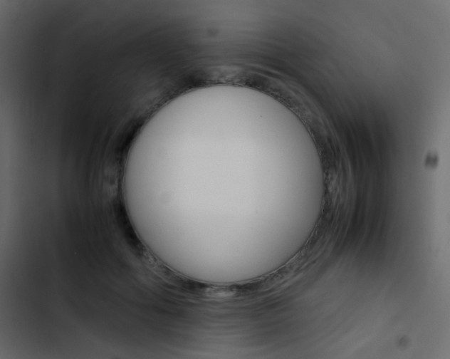 X0000103900602200809191057