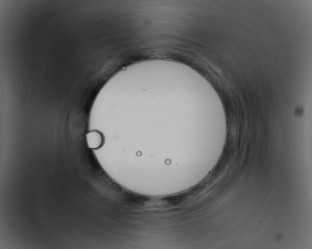 X0000103900603200809191057