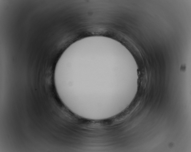 X0000103900604200809191057