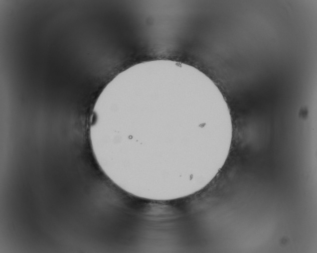 X0000103900605200809191057