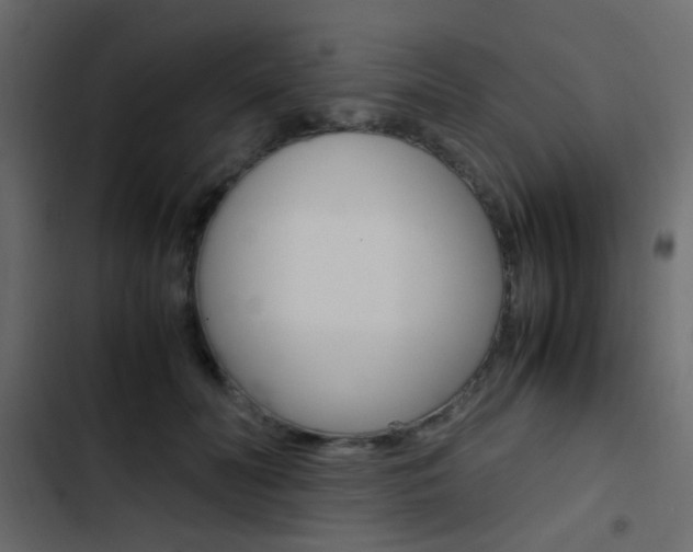 X0000103900606200809191057