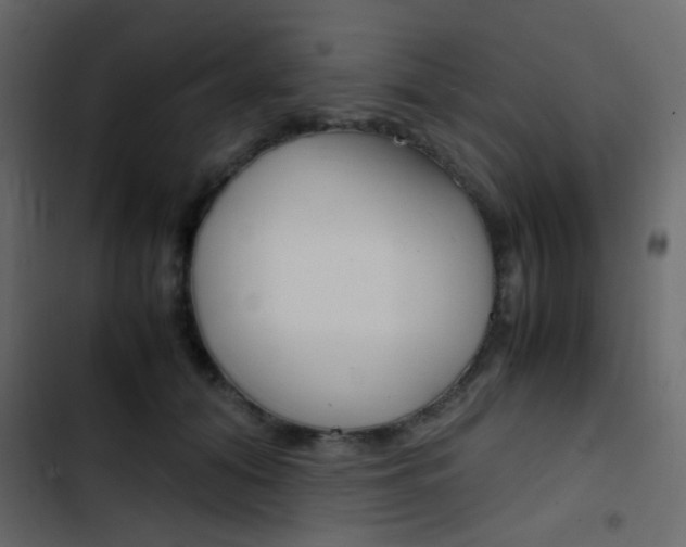 X0000103900608200809191057
