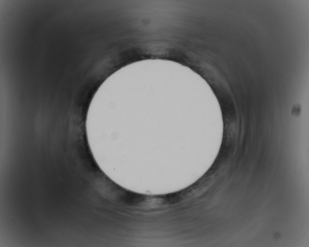 X0000103900609200809191057