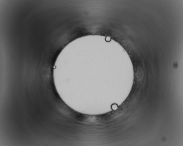 X0000103900611200809191057
