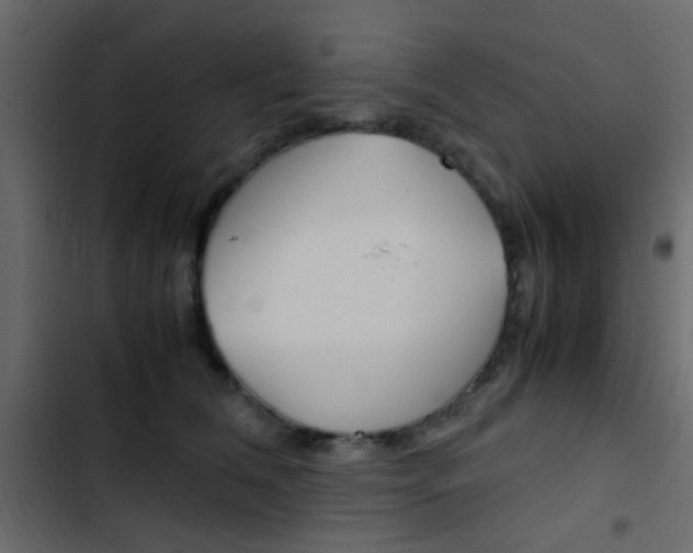 X0000103900612200809191057