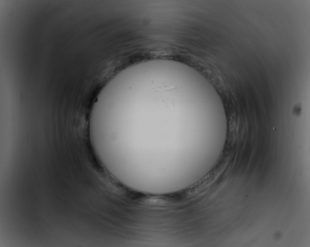 X0000103900614200809191057