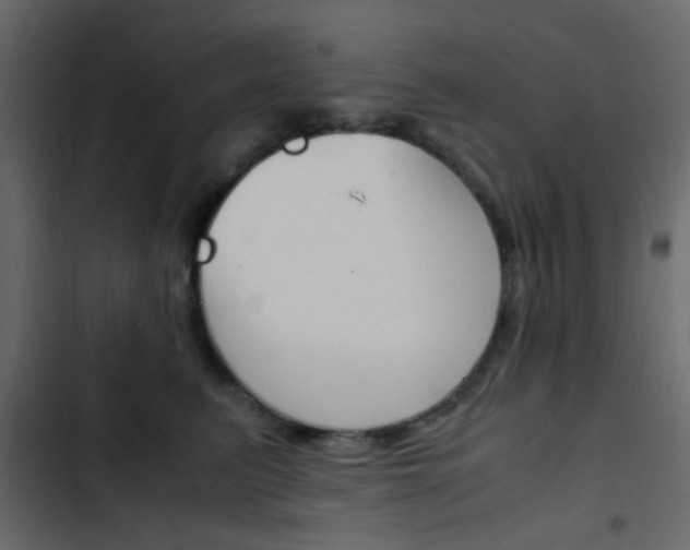 X0000103900615200809191057