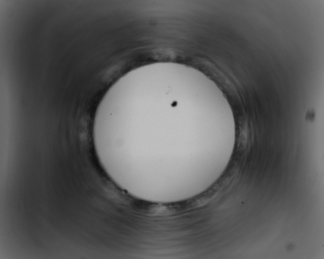 X0000103900616200809191057