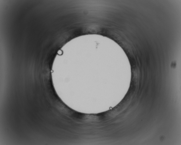 X0000103900617200809191057