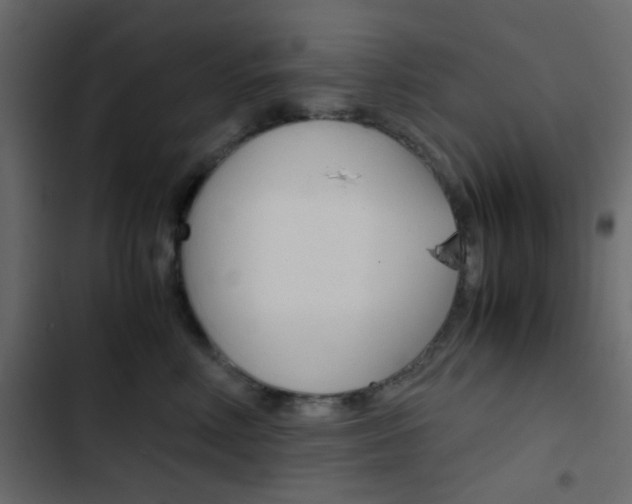 X0000103900618200809191057
